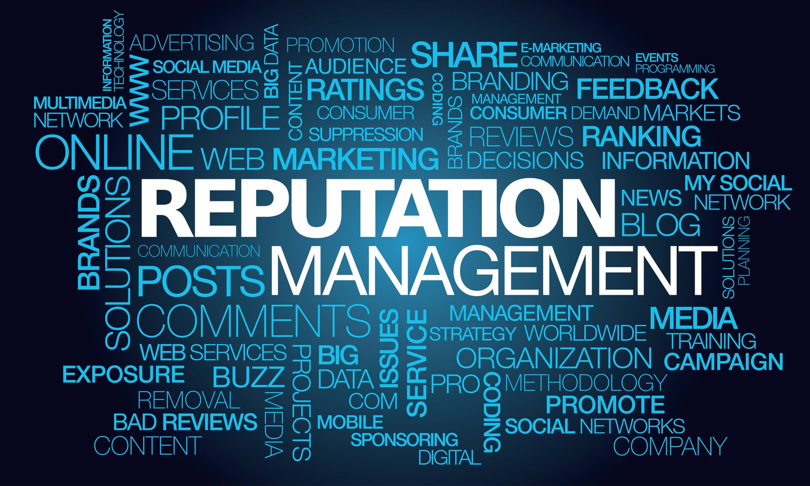 Online Reputation Management (ORM)